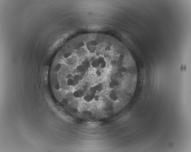 X0000113140495200909251308