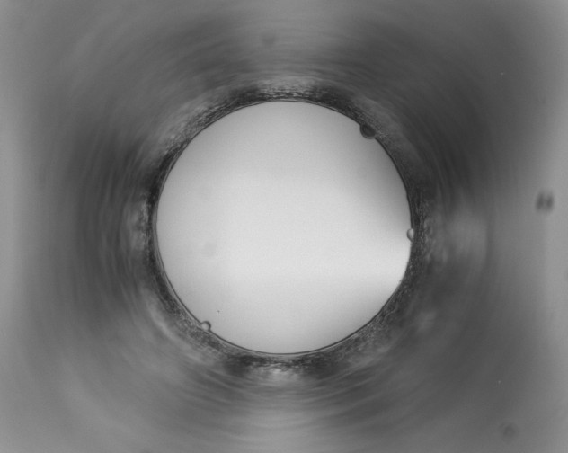 X0000113140498200909251308