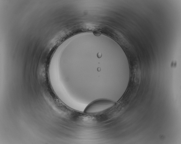 X0000113140500200909251308