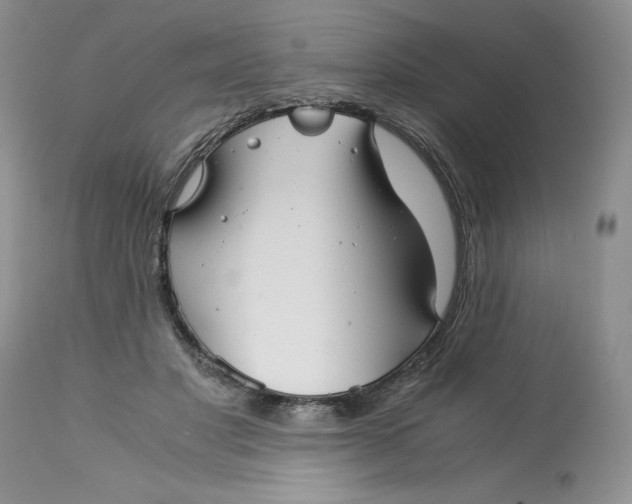 X0000113140501200909251308