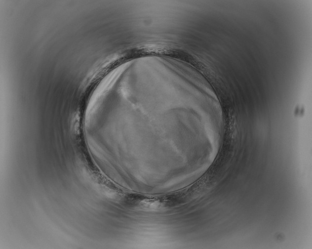 X0000113140502200909251308