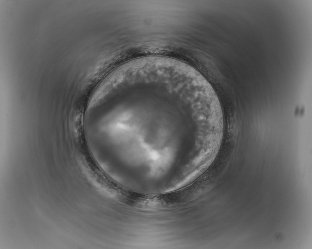 X0000113140503200909251308