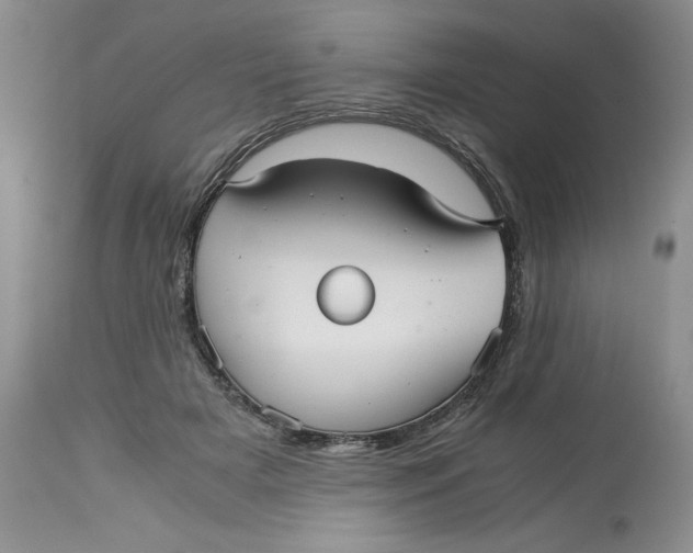 X0000113140505200909251308