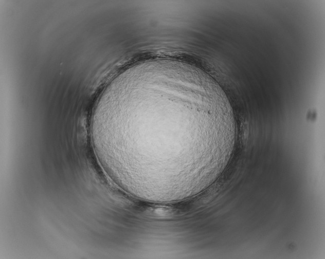 X0000113140506200909251308