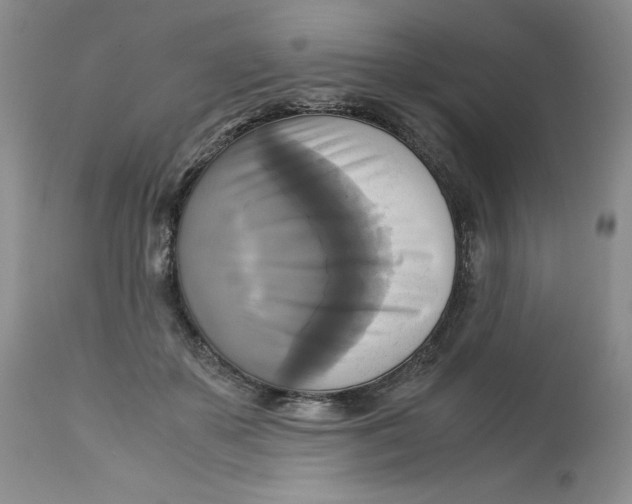 X0000113140507200909251308