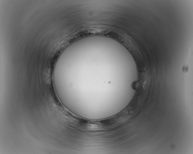 X0000113140510200909251307