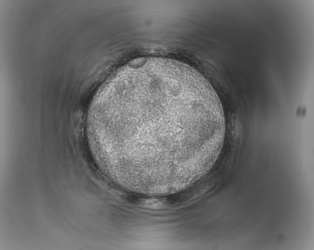 X0000113140511200909251307