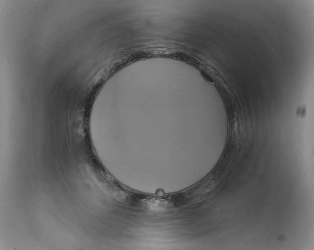 X0000113140512200909251307