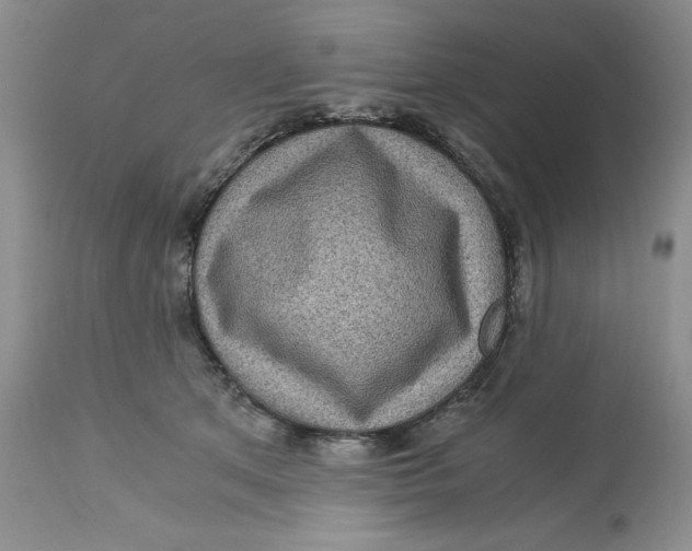 X0000113140513200909251307