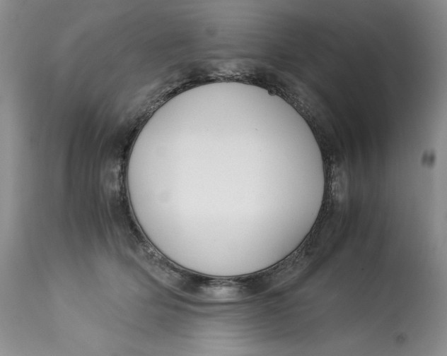 X0000113140514200909251307