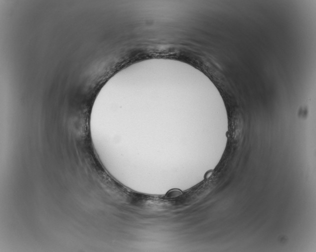 X0000113140515200909251307