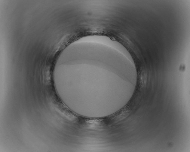 X0000113140516200909251307