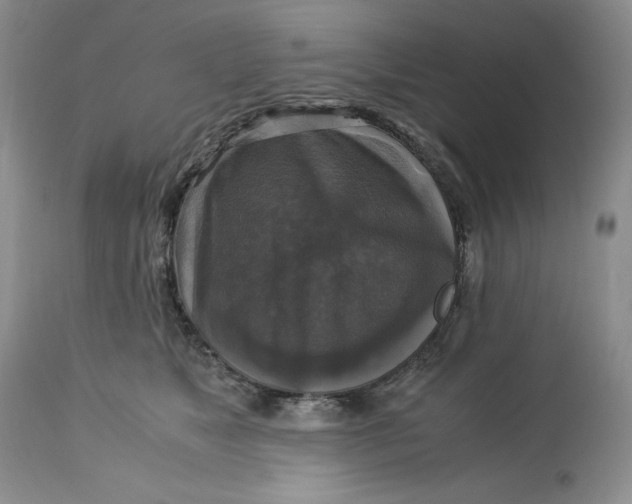 X0000113140517200909251307