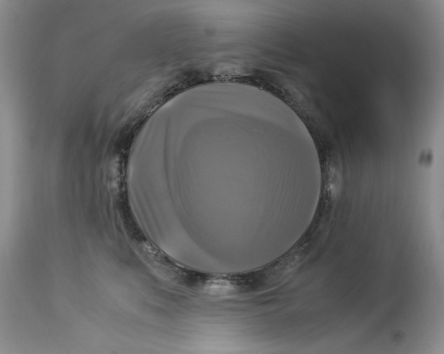 X0000113140519200909251307