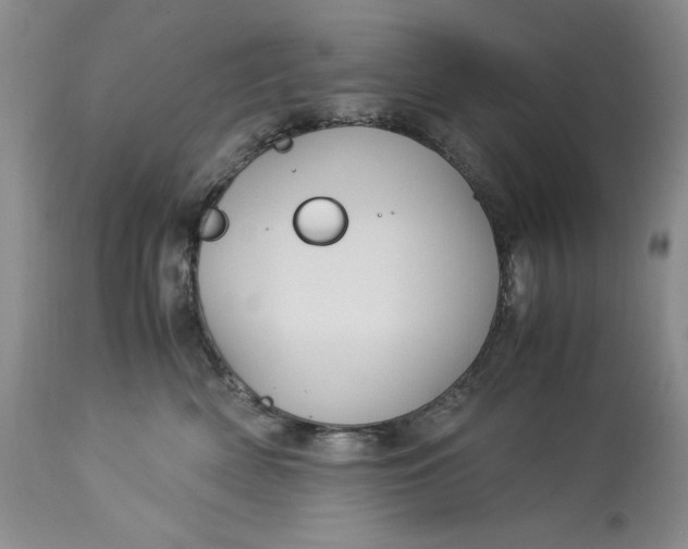 X0000113140522200909251307