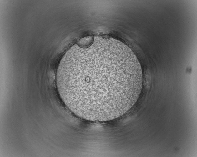 X0000113140523200909251307