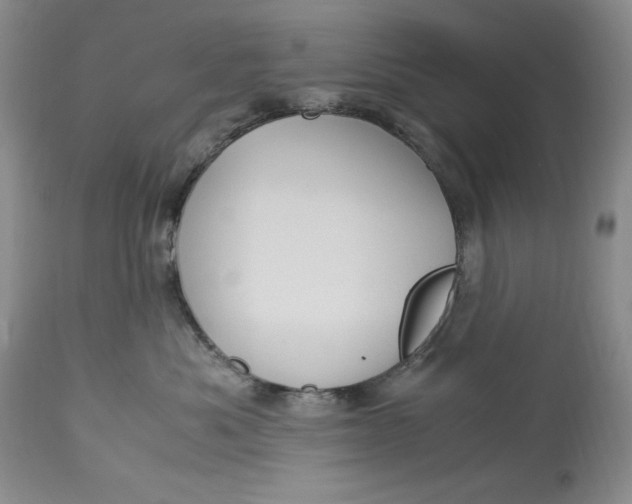 X0000113140525200909251307