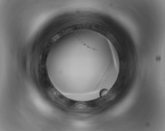 X0000113140526200909251307