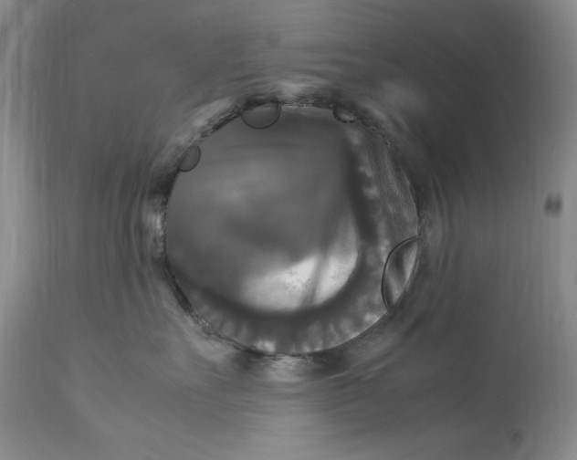 X0000113140527200909251307