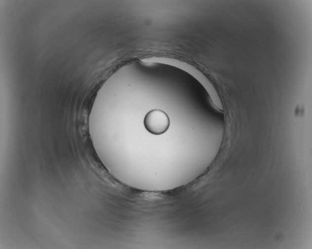 X0000113140528200909251307