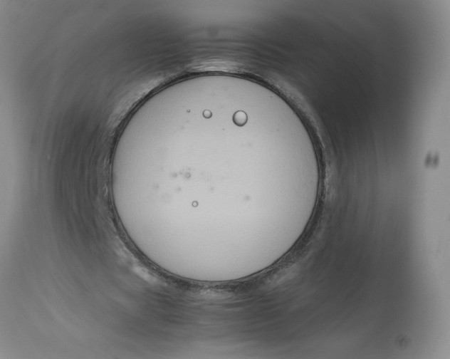 X0000113140529200909251307