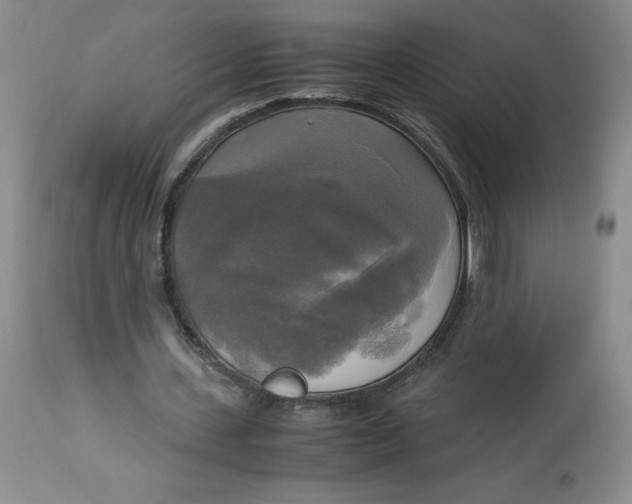 X0000113140531200909251307