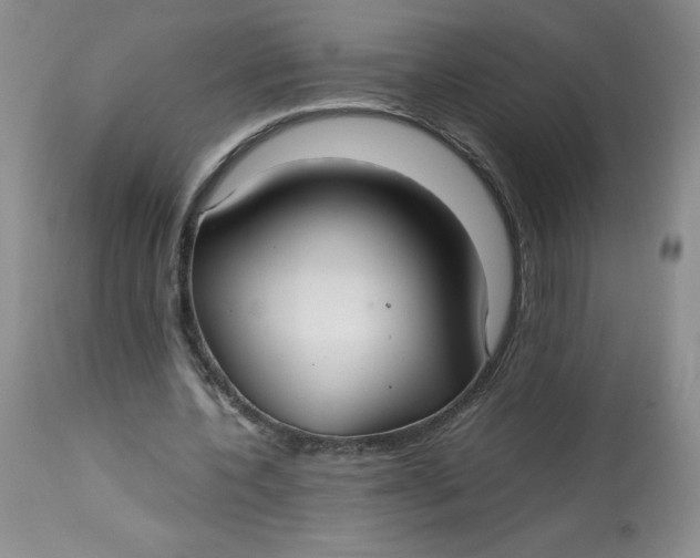 X0000113140532200909251307