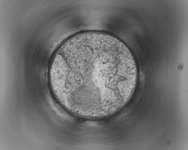 X0000113140534200909251307