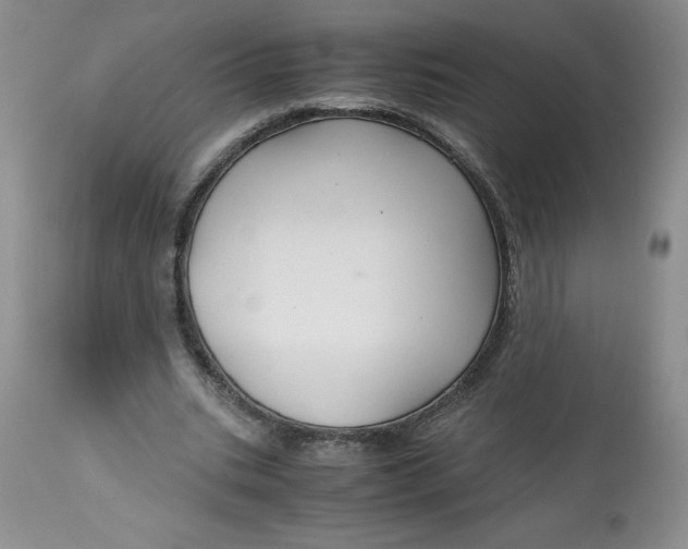 X0000113140535200909251307