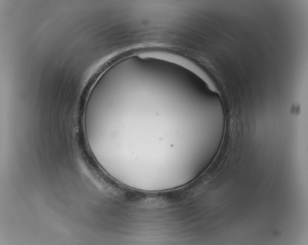 X0000113140536200909251307