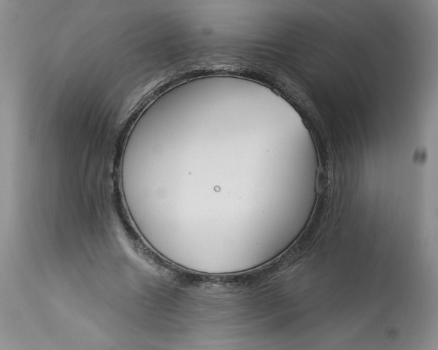 X0000113140538200909251307