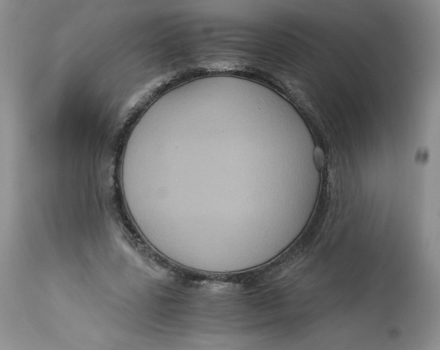 X0000113140539200909251307