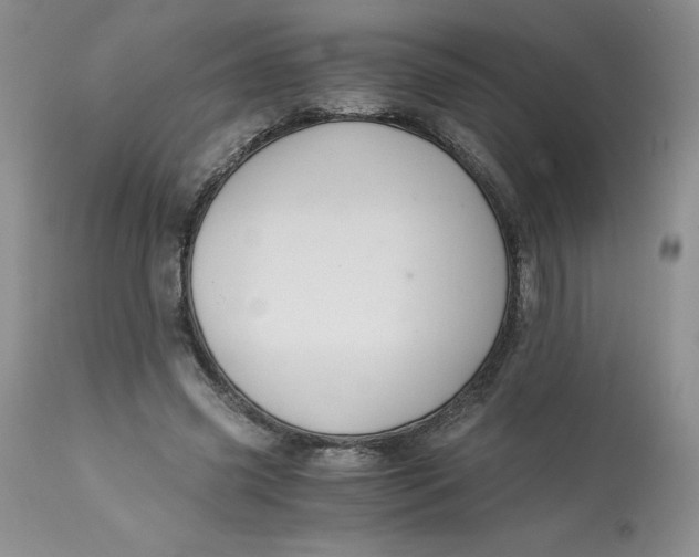 X0000113140541200909251307