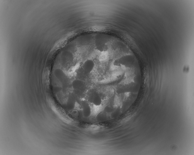 X0000113140542200909251307