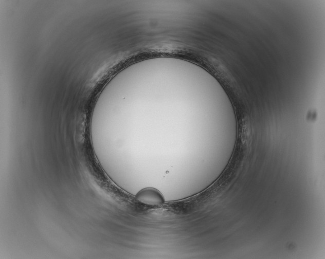 X0000113140544200909251307