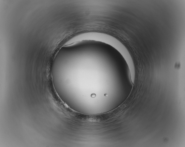 X0000113140546200909251307