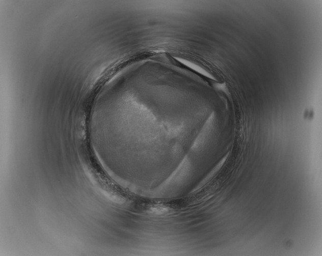 X0000113140547200909251307