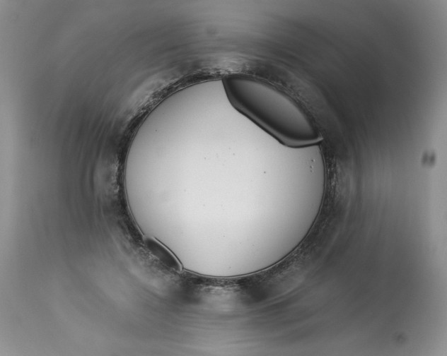 X0000113140548200909251307