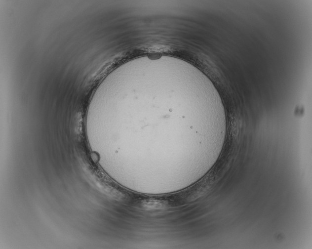 X0000113140549200909251307