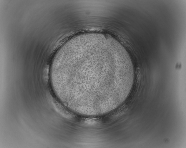 X0000113140550200909251307