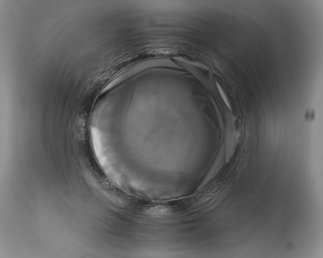 X0000113140551200909251307