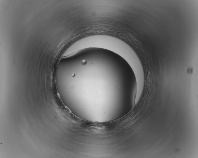 X0000113140552200909251307