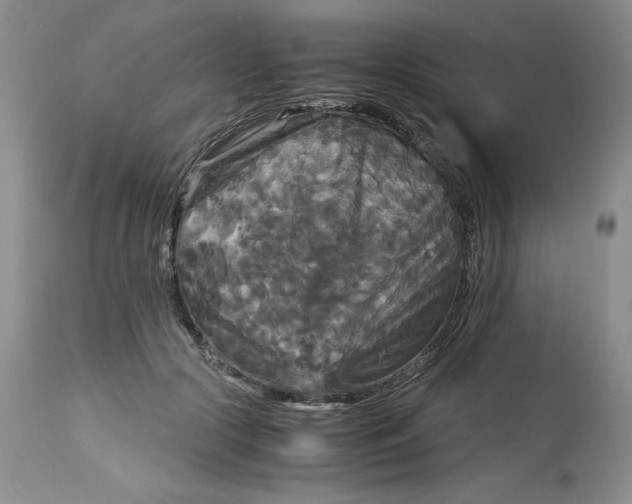 X0000113140553200909251307