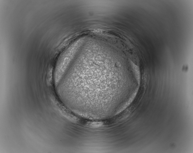 X0000113140554200909251307