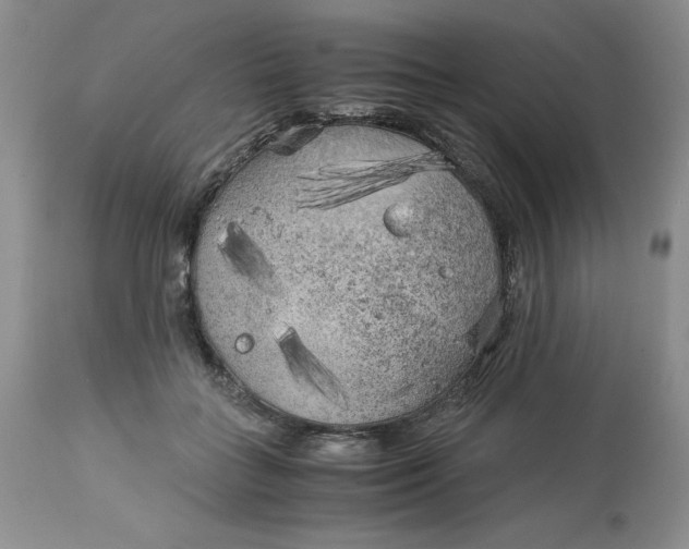 X0000113140555200909251307