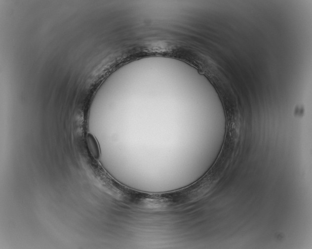 X0000113140556200909251307