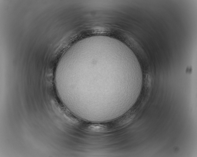 X0000113140557200909251307