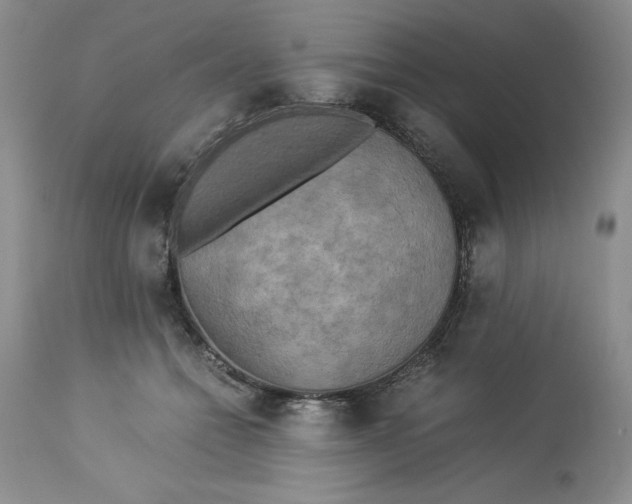 X0000113140558200909251307