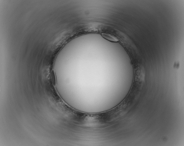 X0000113140560200909251307