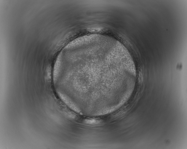 X0000113140561200909251307